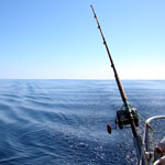 Affiliate : Deep Sea Fishing details...