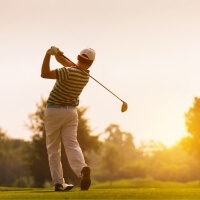 Stag : Golf details...