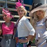 Stag : Ascot Races details...