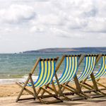 Hen : Beach Trip