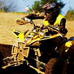 Hen : Safari Crazy Gang : Quad Bikes