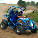 Stag : Boys Toys