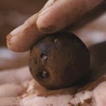 Affiliate : Chocoholics Dream details...