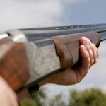 Stag : Clay Pigeon Shooting Stag : Clay Pigeon Shooting