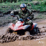 Hen : Quad Bikes