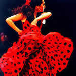 Hen : Flamenco Night details...