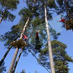 Stag : High Ropes