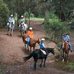 Affiliate : Horse Riding