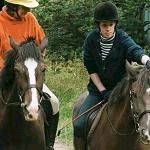 Affiliate : Horse Riding