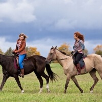 Affiliate : Horse Riding details...