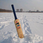 Stag : Ice Cricket