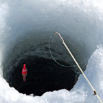 Hen : Ice Fishing 