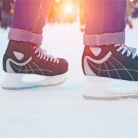 Stag : Ice Skating