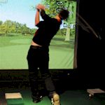 Stag : Golf Indoor details...
