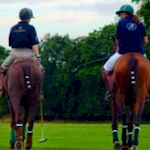 Hen : Polo Sport of Kings
