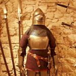 Hen : Medieval Banquet details...