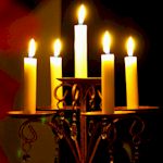 Stag : Murderous Mystery : Murder Mystery