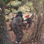 Stag : Paintball