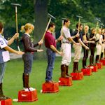 Hen : Polo Sport of Kings details...