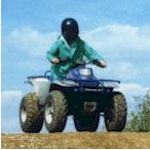Hen : Quads and Karts details...