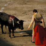 Hen : Running with the Bulls