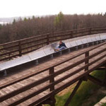 Party : Cool Running’s Weekend : Bob-Sleigh Party : Cool Running’s Weekend : Bob-Sleigh