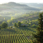 Stag : Wine Tasting details...