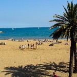 Barcelona Hen