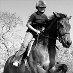Hen : Horsing Around