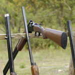 Stag : Shooting Party