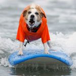 Hen : Ride the Waves